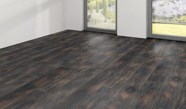 Wicanders | Kentucky | Grand Canyon | 82000163