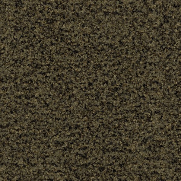 Forbo Coral Brush - 5284 olive green - Sauberlaufzone
