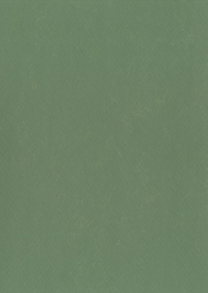 Gerflor DLW Lino Art Urban - 0580 Bush Green