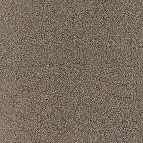 Anker Teppichboden CARLTON 000010-701 Bahnenware