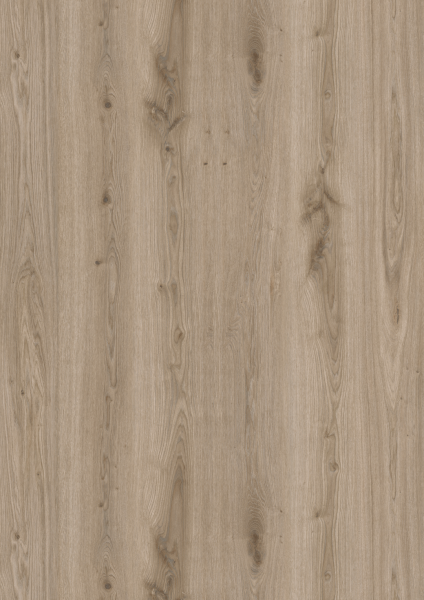 Tarkett | Living 55 | Primary Oak Light Grey | 280064006
