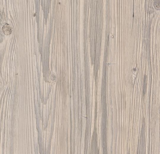 Forbo Impressa Ti9005 Bleached Pine Bodenversand24