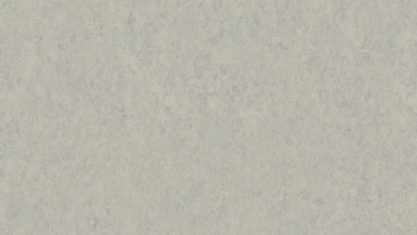 Tarkett | Lino Loose- Lay xf² | Veneto GREY 793 - Bahnenware