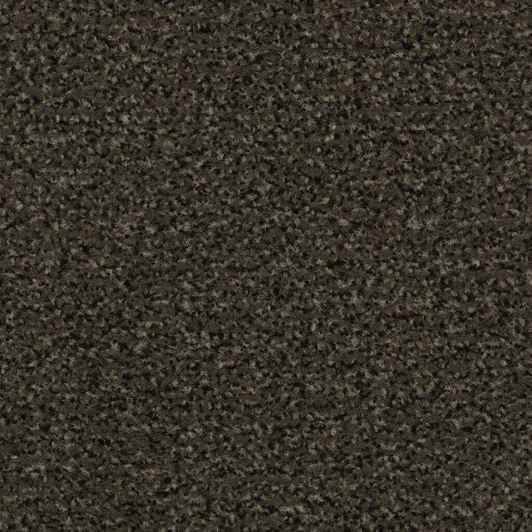 Forbo Coral Classic "4734 spun gold" - Sauberlaufzone