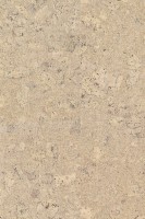 Personality Timide Personality Timide