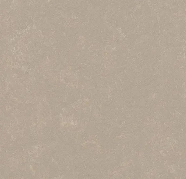 Forbo Marmoleum DECIBEL - 370835 fossil Linoleum Bahnenware