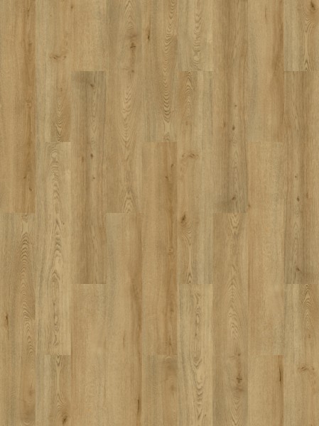 Forbo Allura Decibel 0.35 Wood - 5404AD3 natural antique oak