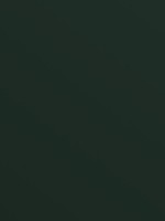 Conifer 4174 Conifer 4174