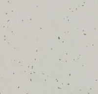 Forbo Sphera Energetic - Bahnenware - 50211 stone Forbo Sphera Energetic - Bahnenware - 50211 stone