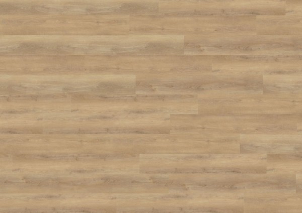 wineo 800 wood XL - DB834WXL Dalen Oak Nature