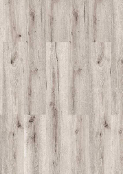 CHECK One - 2489 Wittland Oak inkl. Trittschall Standard Breit + Langdiele