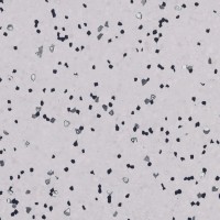 Forbo Sphera EC - Bahnenware - 450032 soft lilac Forbo Sphera EC - Bahnenware - 450032 soft lilac