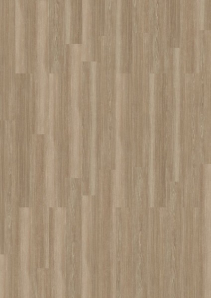 Expona Commercial - Farbe 4020 Grey Ash