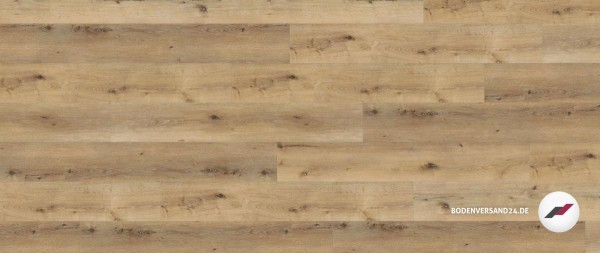 Wineo 800 wood XL Corn Rustic Oak Designplanken zum Kleben