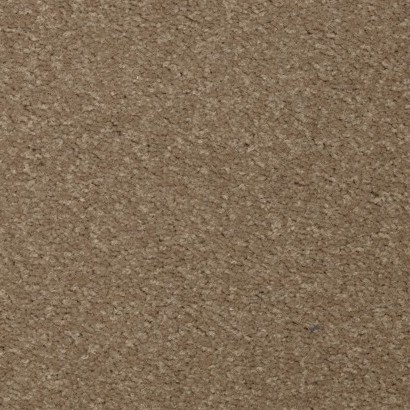Teppichboden Toucan-T Astrum Bahnware - 6505