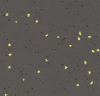 Forbo Sphera Energetic - Bahnenware - 51244 vivid ebony Forbo Sphera Energetic - Bahnenware - 51244 vivid ebony