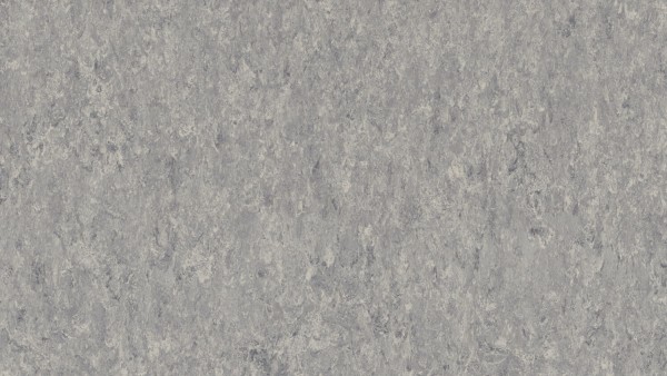 Tarkett | Lino Loose- Lay xf² | Veneto STORM 702- Bahnenware