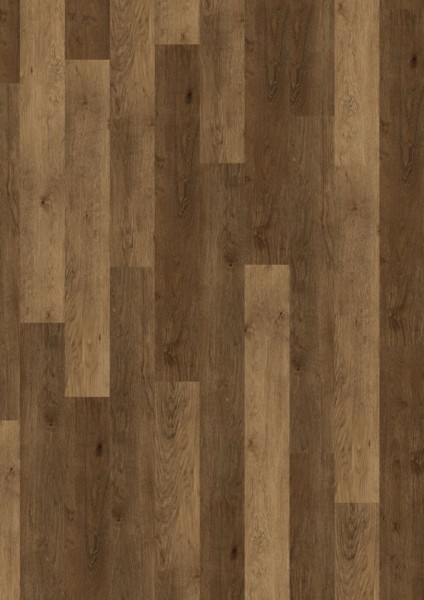 Expona Commercial - Farbe 4113 Provence Oak