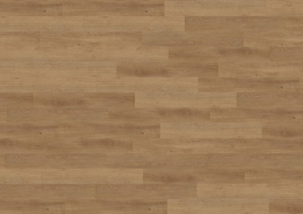 wineo 800 wood L - DB819WL Merano Oak Brown