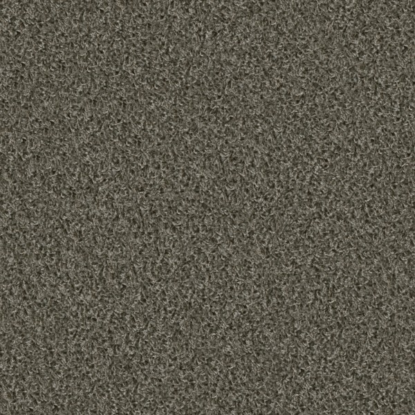 Object Carpet 1424 Koala