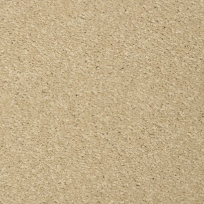 Teppichboden Toucan-T Astrum Bahnware - 6504