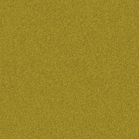 Lemongrass 1237 Lemongrass 1237