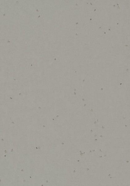 Forbo Sphera Energetic - 50258 elephant