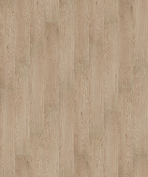 Wood whitewash elegant oak