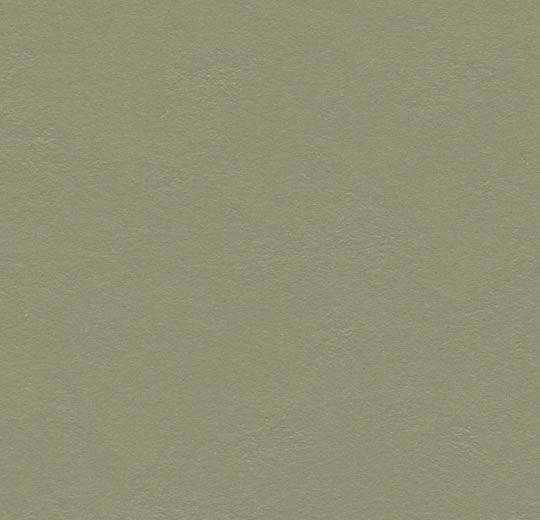 Forbo Marmoleum Click - 333355 rosemary green