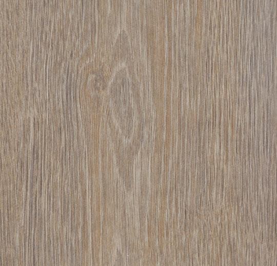 Forbo Allura Dryback Wood 0,7 mm - 60293 steamed oak
