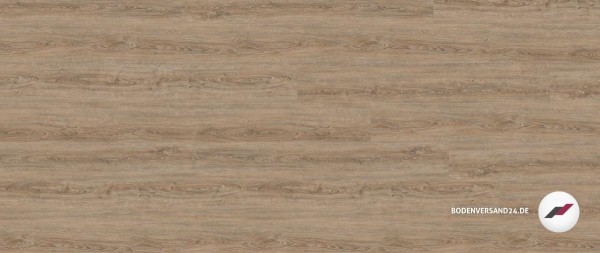 Wineo 800 wood XL - Clay Calm Oak zum Klicken DLC00062