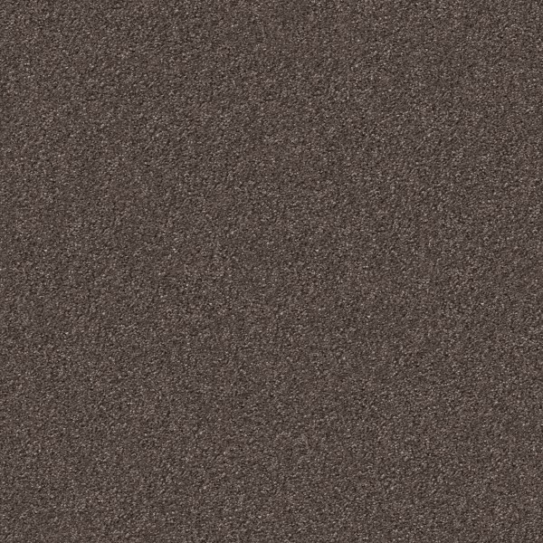 Taupe 1233