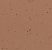 Forbo Sphera Energetic - Bahnenware - 50225 masala Forbo Sphera Energetic - Bahnenware - 50225 masala