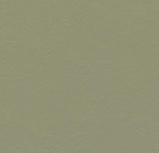 Forbo Marmoleum Walton - 3355 rosemary green Linoleum UNI Bahnenware 2,5 mm