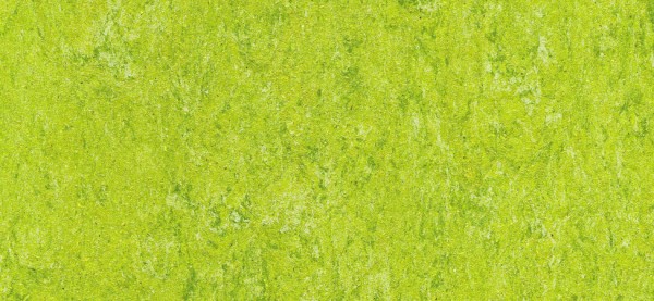 Dlw Armstrong Linoleum Marmorette Pur Bahnware 2 5 Mm 125 132