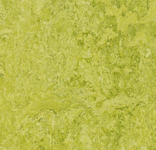 Forbo Marmoleum REAL - 3224 chartreuse Linoleum Bahnenware 2,5 mm