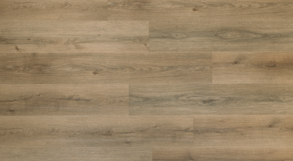 Lamett | DOURO | DOU 180 IB-602 | Honey