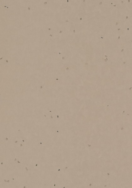 Forbo Sphera Energetic - 50248 nutmeg