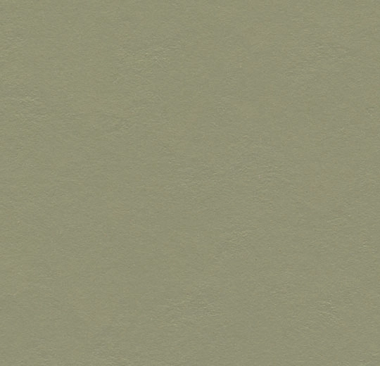 Forbo Marmoleum DECIBEL - 335535 rosemary green Linoleum Bahnenware