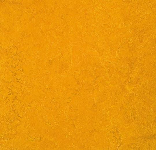 Forbo Marmoleum FRESCO - 3125 golden sunset Linoleum Bahnenware 2,5 mm