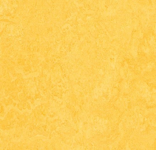 Forbo Marmoleum Click - 333251 lemon zest