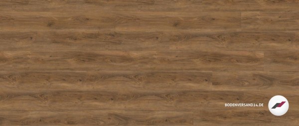 Wineo 800 wood XL - Cyprus Dark Oak zum Klicken DLC00066
