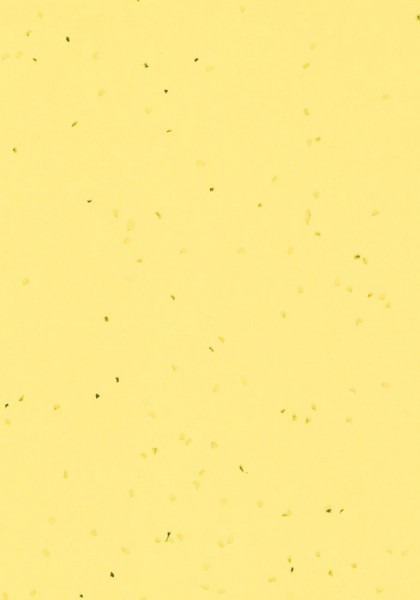 Forbo Sphera Energetic - 50261 banana