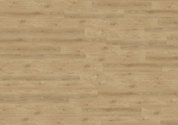 wineo 800 wood L - DB817WL Trondheim Oak Brown