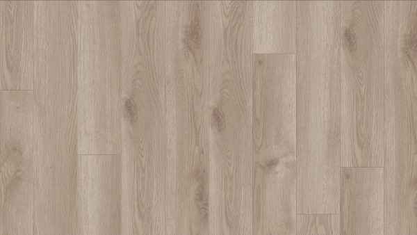 Tarkett Contemporary Oak Grege