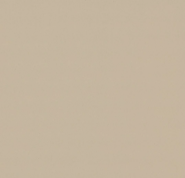 Macadamia 4007