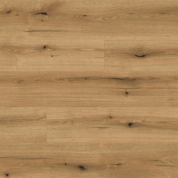 Kaindl NATURAL TOUCH 8.0 Standarddiele Eiche | Oak EVOKE Coast K5573 RI