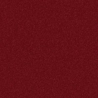 Merlot 1241 Merlot 1241