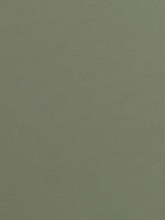 Olive 4184 Olive 4184