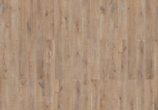 Wicanders | wood Inspire + | Farnia Oak Savannah | 80004851